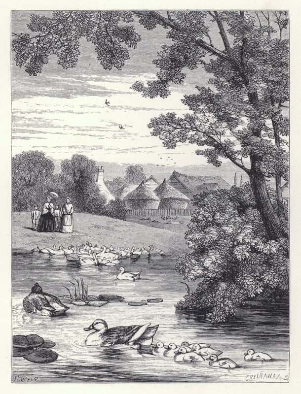 The Duck Pond (kaiverrus) tekijältä Harrison William Weir