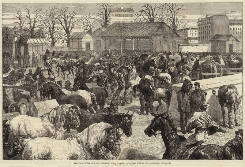 Pariisin elintarvikehuolto, teurastajien hevostori, Boulevard d