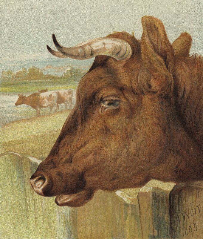 Lastenhuoneen ystävä (chromolitho) tekijältä Harrison William Weir