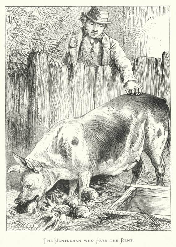 Vuokran maksava herrasmies tekijältä Harrison William Weir