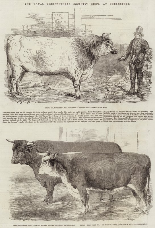 Royal Agricultural Societyn näyttely Chelmsfordissa tekijältä Harrison William Weir