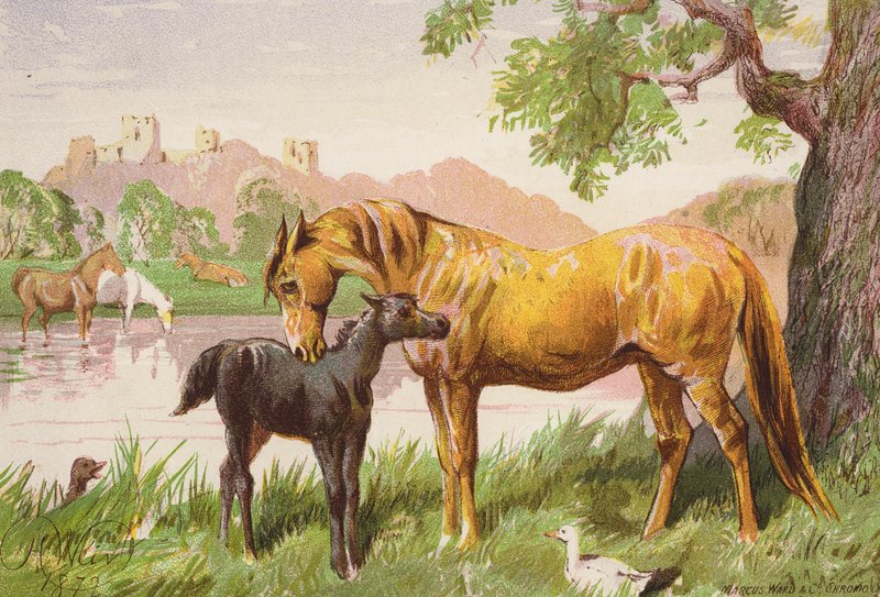 Raunioitunut linna (värilitro) tekijältä Harrison William Weir