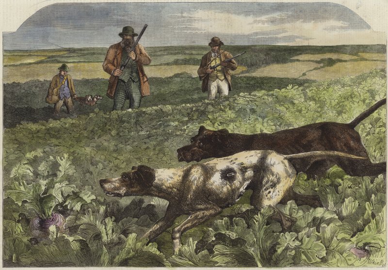 Syyskuun ensimmäinen tekijältä Harrison William Weir