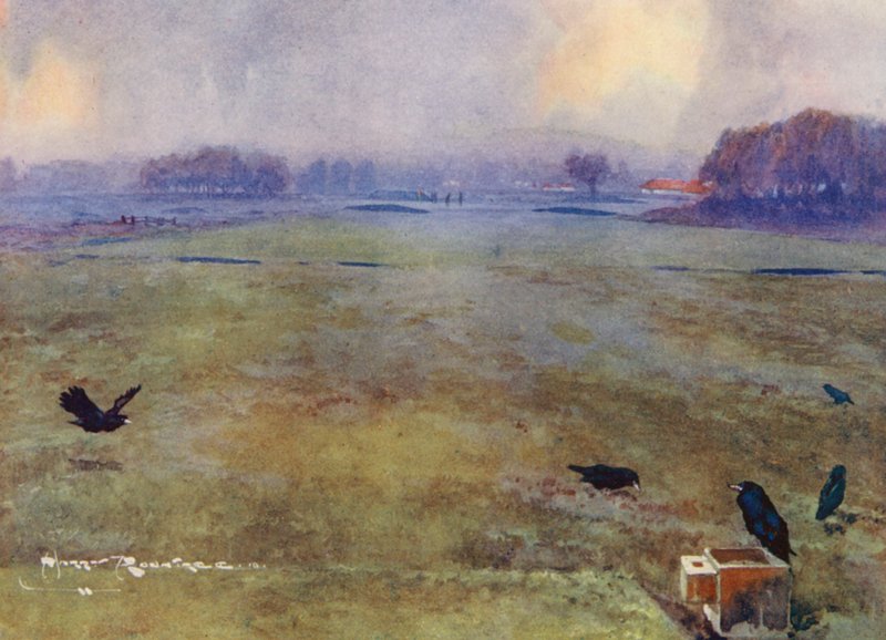 Golfkentät: reikä (värilitografia): Mid-Surrey, kymmenes reikä (värilitografia) tekijältä Harry (1878 1950) Rountree