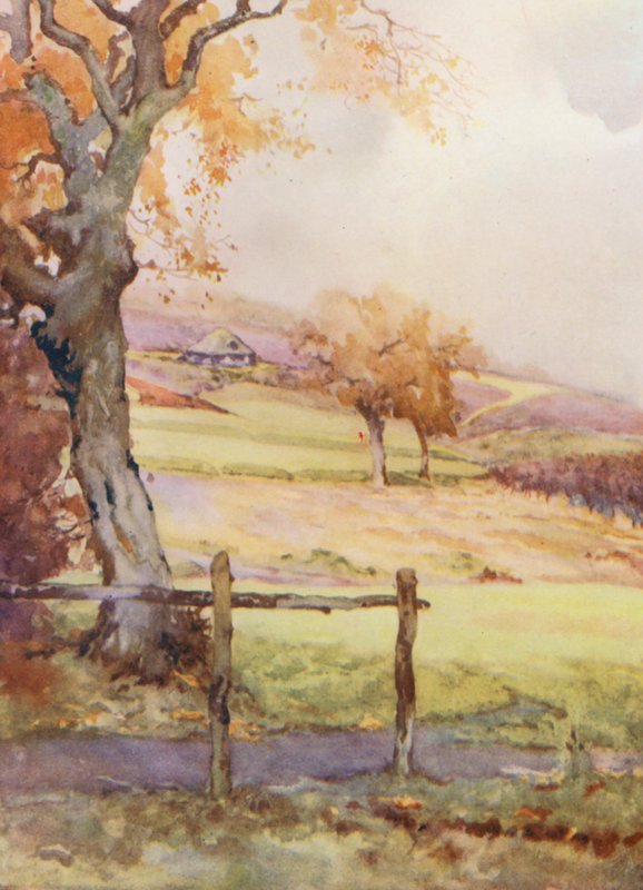 Golfkentät: Broadstone, neljäs reikä (värilitografia). tekijältä Harry (1878 1950) Rountree