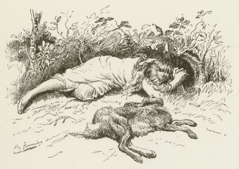 Lewis Carrollin kuvitus Sylvielle ja Brunolle tekijältä Harry Furniss