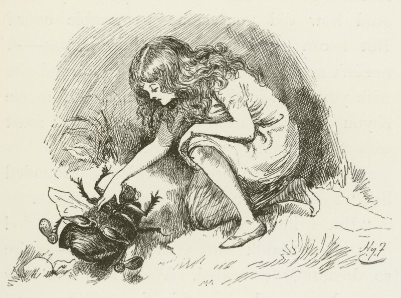 Lewis Carrollin kuvitus Sylvielle ja Brunolle tekijältä Harry Furniss