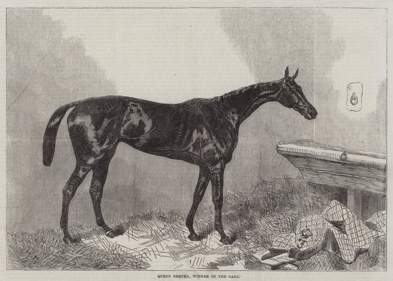 Queen Bertha, tammien voittaja tekijältä Harry Hall