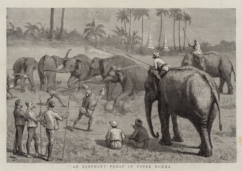 Elephant Pooay Ylä-Burmassa tekijältä Harry Hamilton Johnston