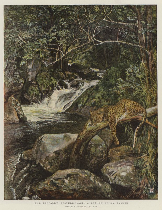 Leopardin lepopaikka, puutarhani kulma (chromolitho) tekijältä Harry Hamilton Johnston
