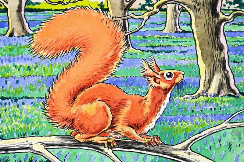 Pikku punainen orava tekijältä Harry M. Pettit