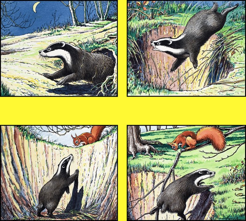 Pikku punainen orava tekijältä Harry M. Pettit