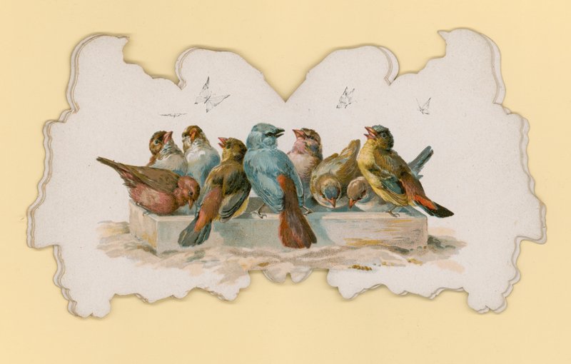 Linnut (väri litho) tekijältä Hector Giacomelli