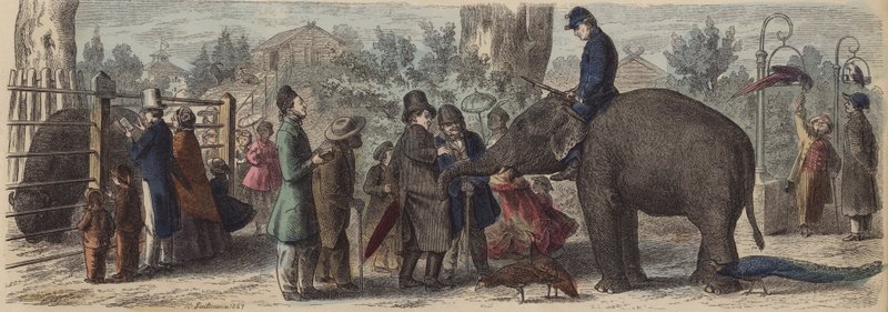 Eläintarhassa Saksassa (värillinen kaiverrus) tekijältä Heinrich Leutemann