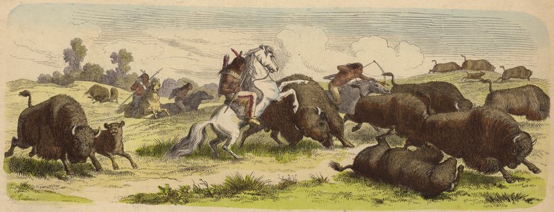 Alkuperäisamerikkalaiset hevosen selässä metsästävät puhvelia (värillinen kaiverrus) tekijältä Heinrich Leutemann