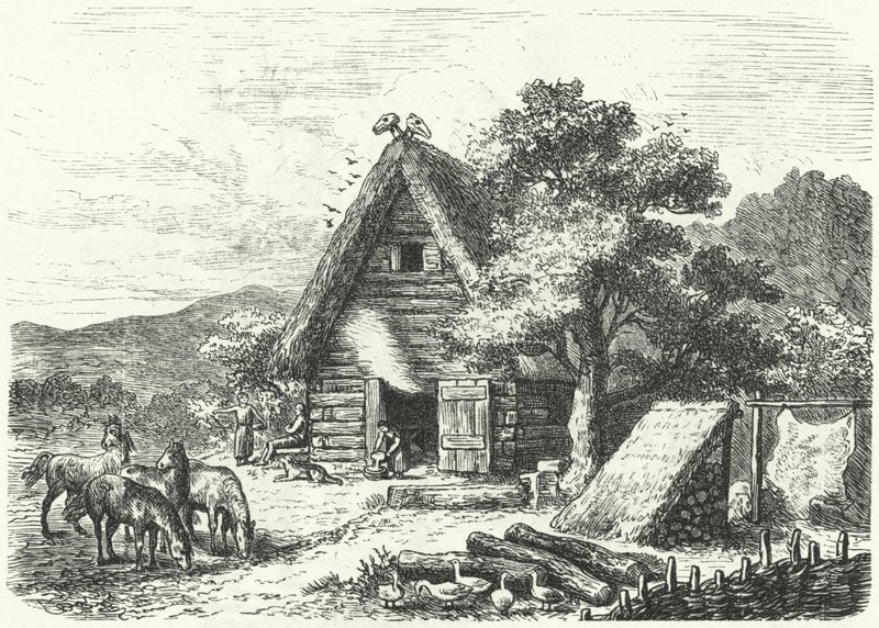 Vanha saksalainen maalaistalo (kaiverrus) tekijältä Heinrich Leutemann