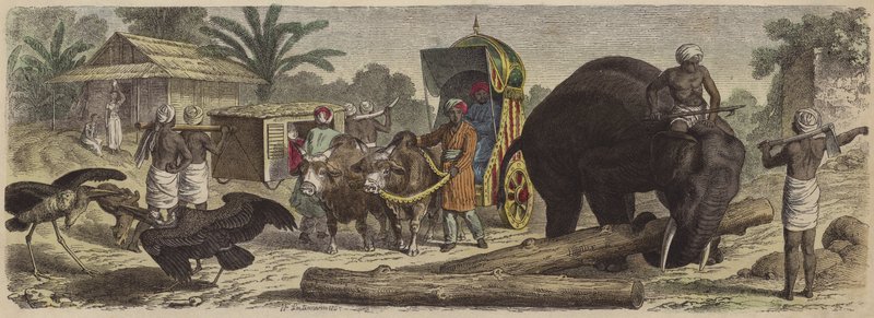 Kohtaus Bengalissa, Intiassa (värillinen kaiverrus) tekijältä Heinrich Leutemann
