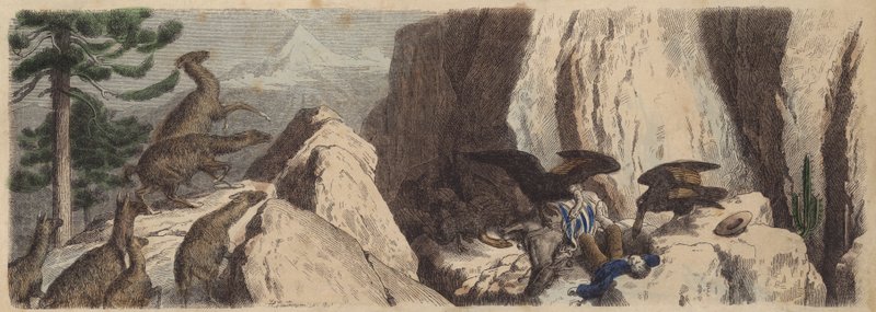 Chilen Andit (värillinen kaiverrus) tekijältä Heinrich Leutemann