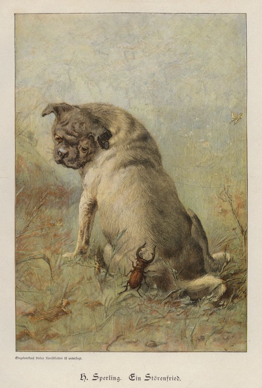 A Troublemaker (värillinen kaiverrus) tekijältä Heinrich Sperling
