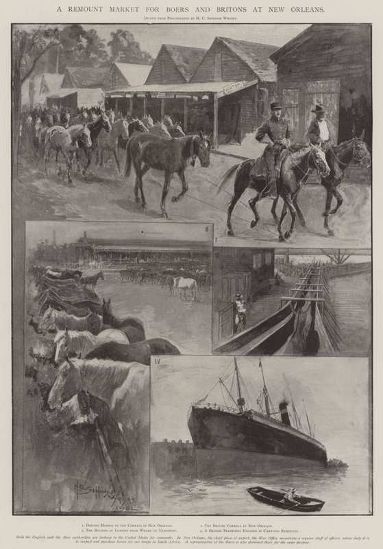 Remount Market buurille ja briteille New Orleansissa tekijältä Henry Charles Seppings Wright