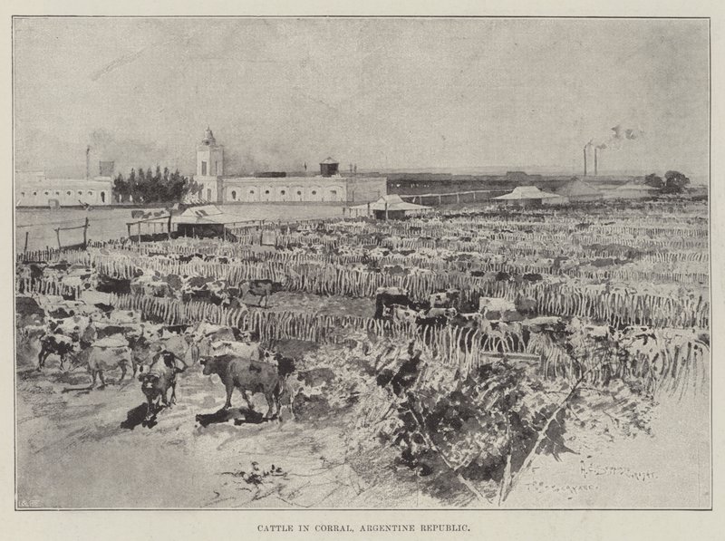Nautakarja Corralissa, Argentiinan tasavallassa tekijältä Henry Charles Seppings Wright
