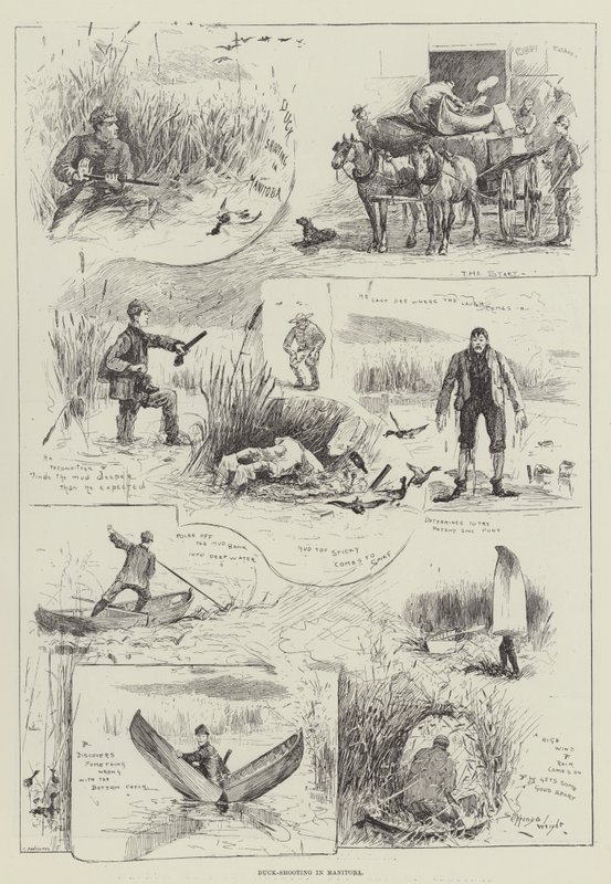 Ankka-ammunta Manitobassa tekijältä Henry Charles Seppings Wright