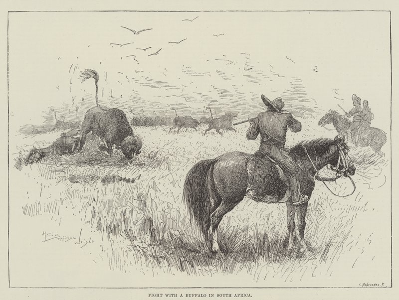 Taistele puhvelin kanssa Etelä-Afrikassa tekijältä Henry Charles Seppings Wright