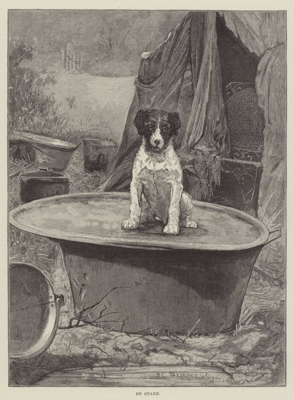 Varuillaan tekijältä Henry Charles Seppings Wright
