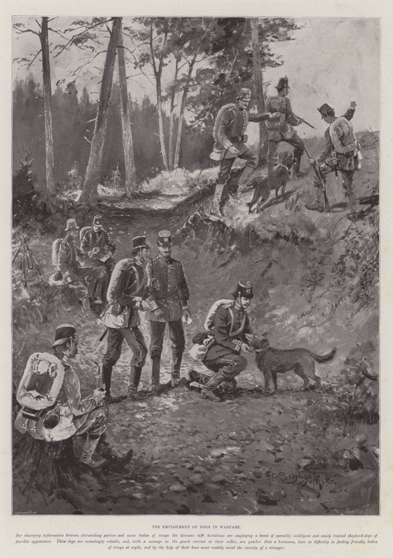 Koirien työllistäminen sodankäynnissä tekijältä Henry Charles Seppings Wright