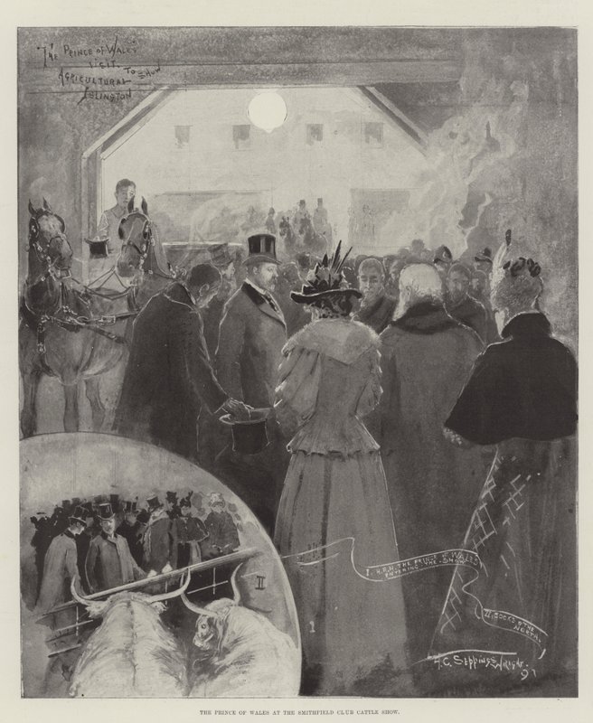 Walesin prinssi Smithfield Clubin karjanäyttelyssä tekijältä Henry Charles Seppings Wright