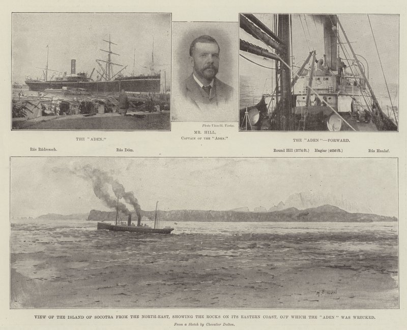 Adenin hylky tekijältä Henry Charles Seppings Wright