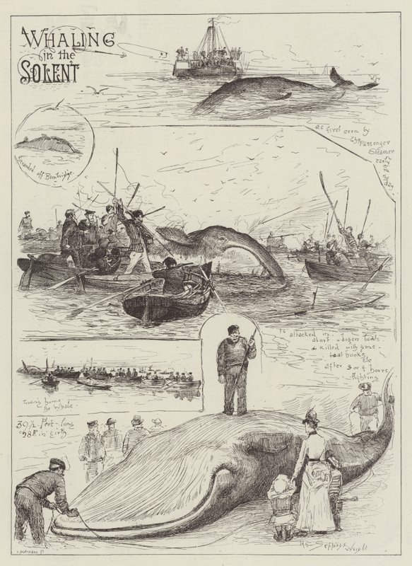 Valaanpyynti Solentissa tekijältä Henry Charles Seppings Wright