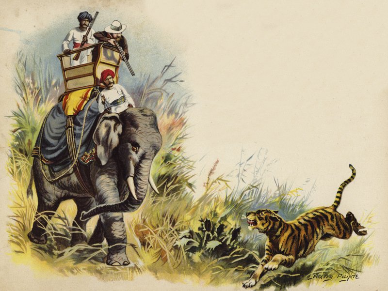 Walesin prinssi tiikeri ampui kuninkaallisen kiertueen aikana Intiassa, 1905 (chromolitho) tekijältä Henry Payne