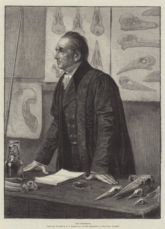 Professori tekijältä Henry Stacey Marks