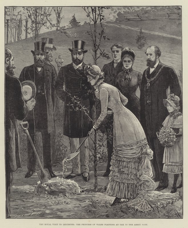 Kuninkaallinen vierailu Leicesteriin, Walesin prinsessa istuttaa tammen Abbey Parkiin tekijältä Henry Stephen Ludlow