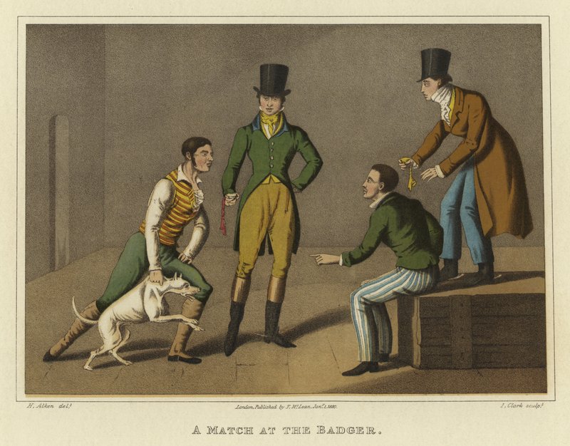 Ottelu mäyrässä (chromolitho) tekijältä Henry Thomas Alken