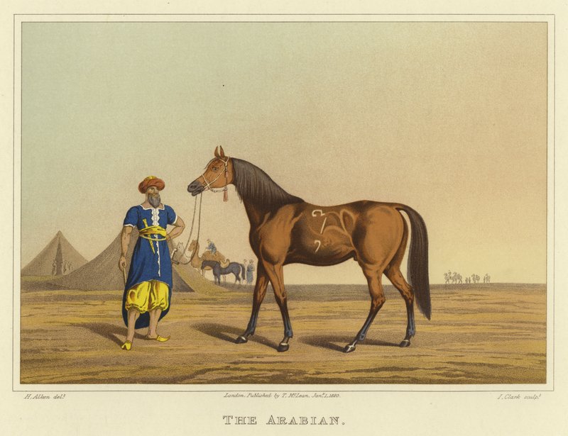 arabia (chromolitho) tekijältä Henry Thomas Alken