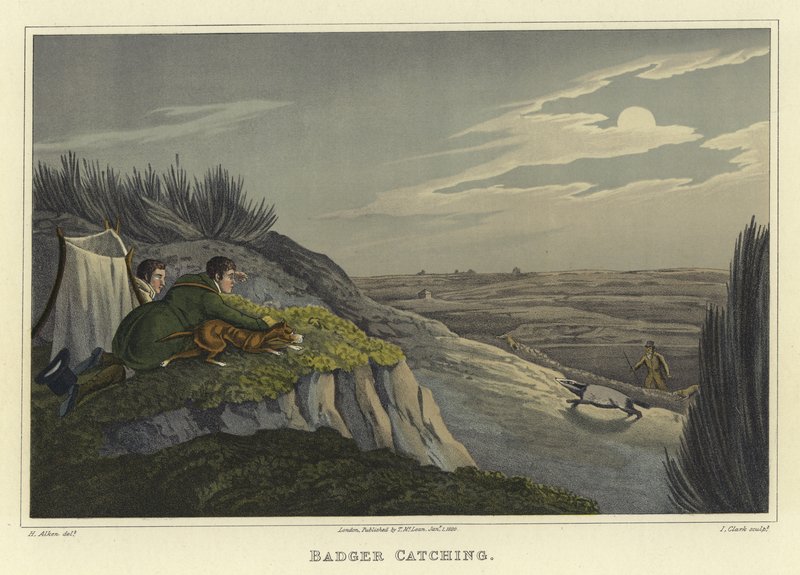 Mäyränpyynti (chromolitho) tekijältä Henry Thomas Alken