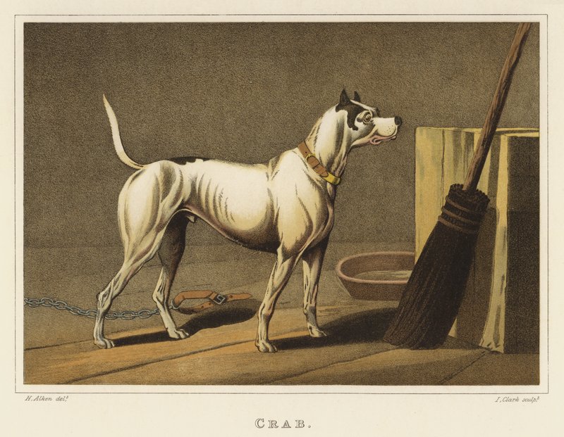 Rapu (chromolitho) tekijältä Henry Thomas Alken