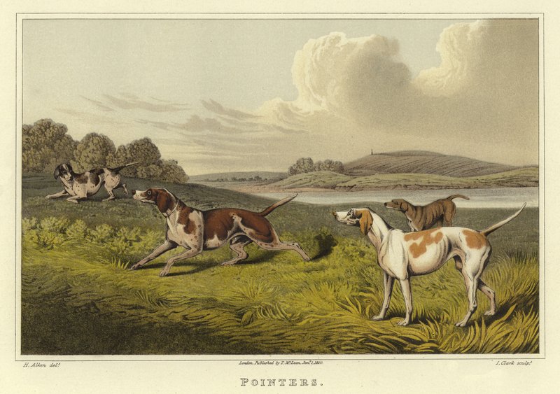 Osoittimet (chromolitho) tekijältä Henry Thomas Alken