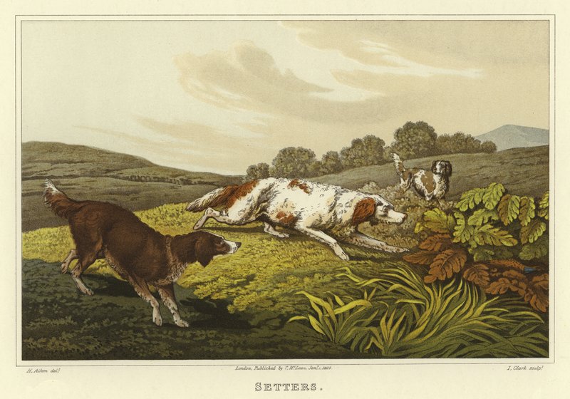 setterit (chromolitho) tekijältä Henry Thomas Alken