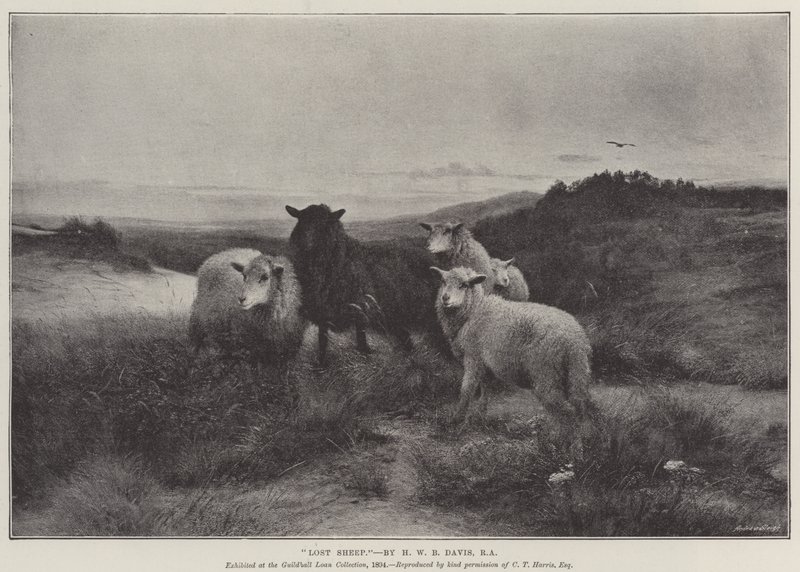 Kadonnut lammas tekijältä Henry William Banks Davis