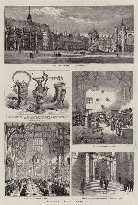 Cambridge Illustrated tekijältä Henry William Brewer