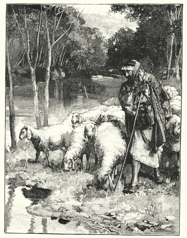 Paimen ja hänen laumansa Anti-Libanonissa (litho) tekijältä Henry Andrew Harper