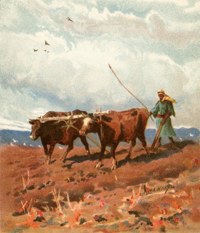 Kyntö tekijältä Henry Andrew Harper
