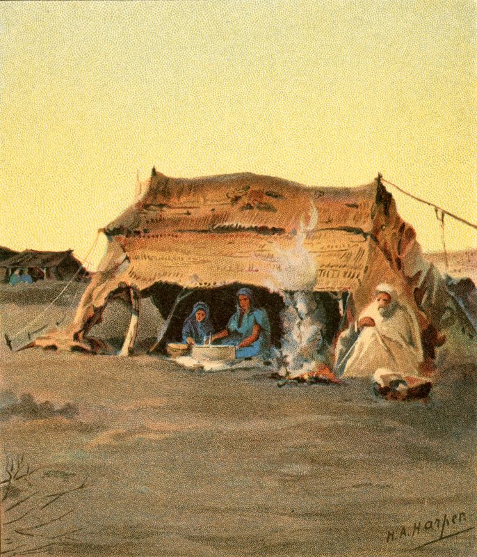 Teltan elämä tekijältä Henry Andrew Harper