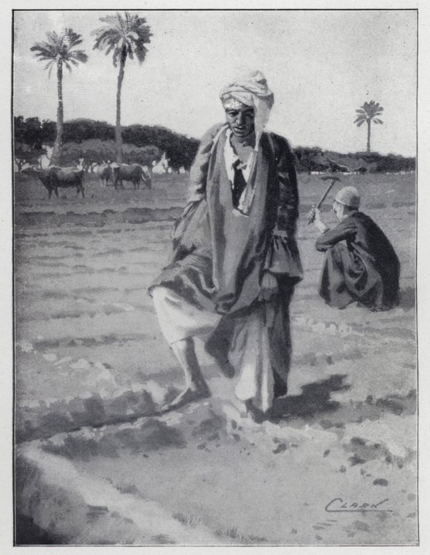 Kastelu jaloilla Gizehissä, Egyptissä (litho) tekijältä Henry Andrew Harper