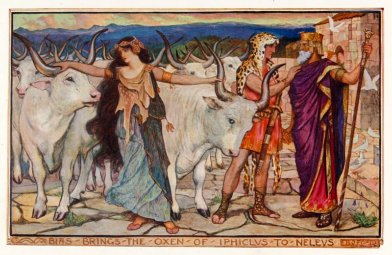 Bias tuo Iphikloksen härät Neleukselle (väri litho) tekijältä Henry Justice Ford