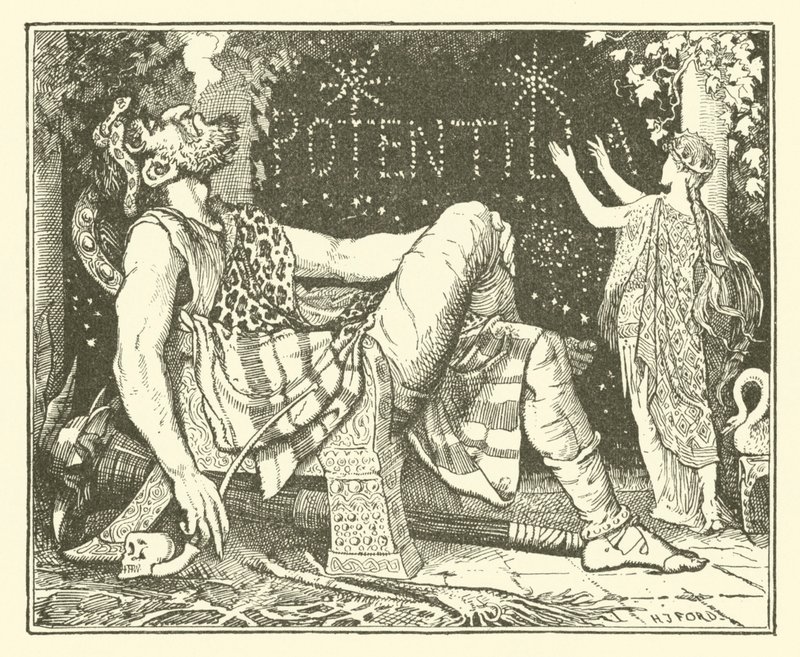 Prinssi Narcissus ja prinsessa Potentilla (kaiverrus) tekijältä Henry Justice Ford