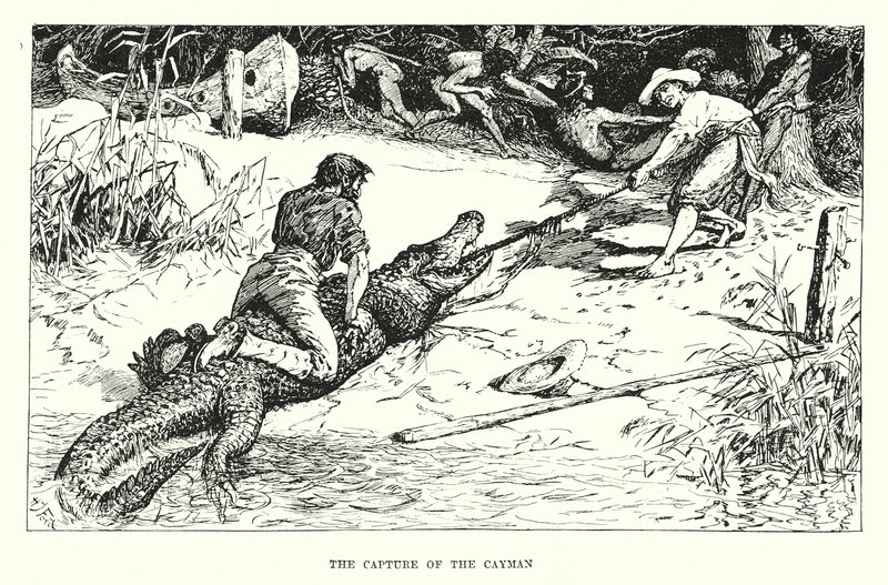Cayman-saarten kaappaus (kaiverrus) tekijältä Henry Justice Ford